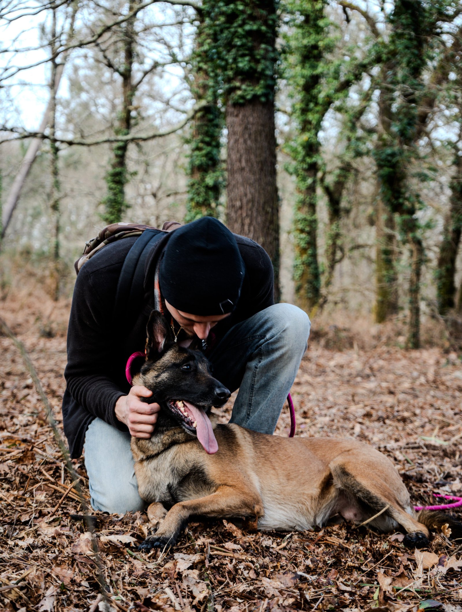 Shooting avec votre animal / animal seul